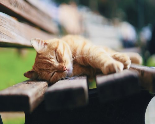 Peaceful sleep and rest